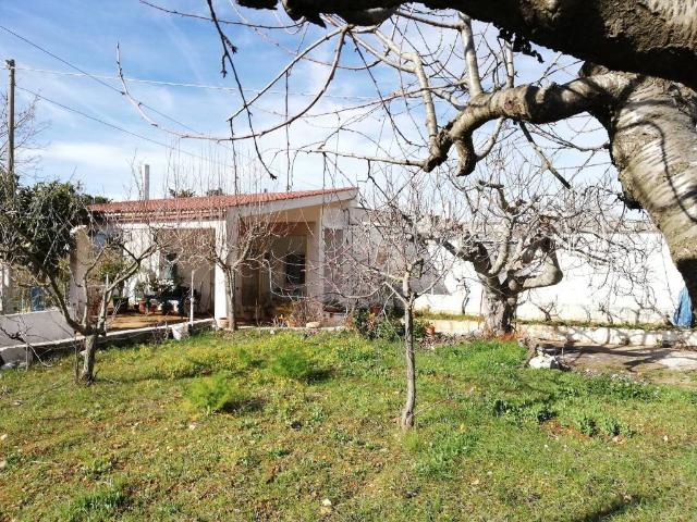 Villa Indipendente in vendita a Puglia, Taranto