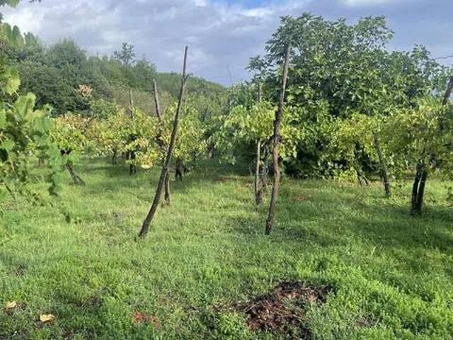 Villa Indipendente in vendita a Marzano Appio, Campania