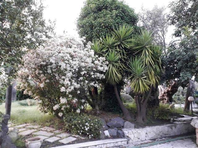 Villa Indipendente in vendita a Massannunziata, Mascalucia