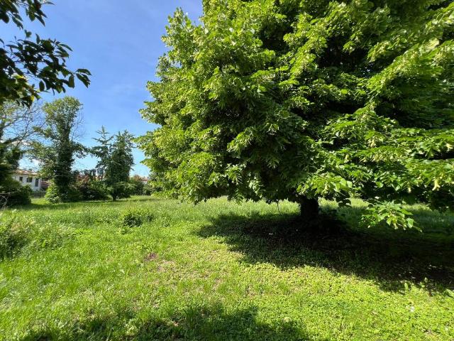 Villa Indipendente in vendita a Maserada Sul Piave, Veneto