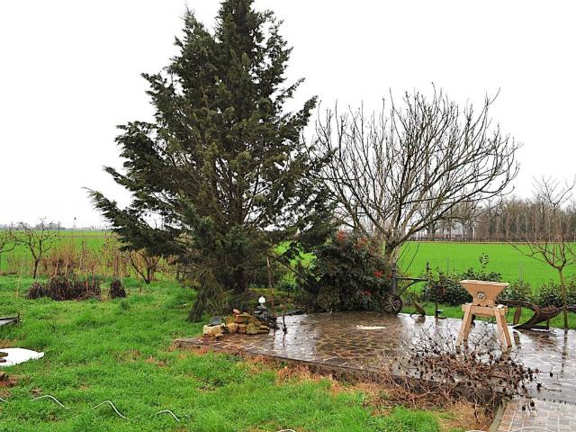 Villa Indipendente in vendita a Nuovo Circondario Imolese, Imola