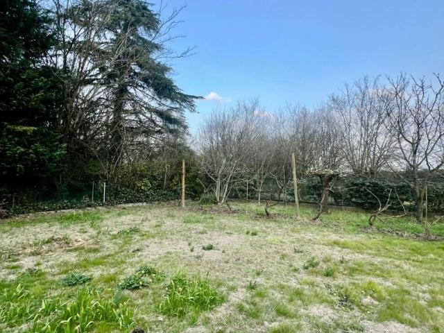 Villa Indipendente in vendita a Unione dei comuni della Bassa Romagna, Massa Lombarda