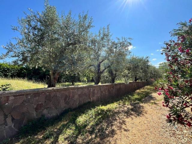 Villa Indipendente in vendita a Colpetrazzo, Umbria
