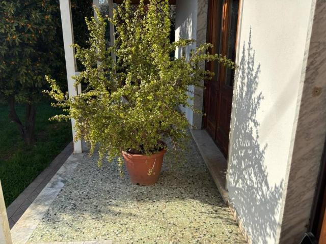 Villa Indipendente in vendita a Marina di Massa, Marina Di Massa