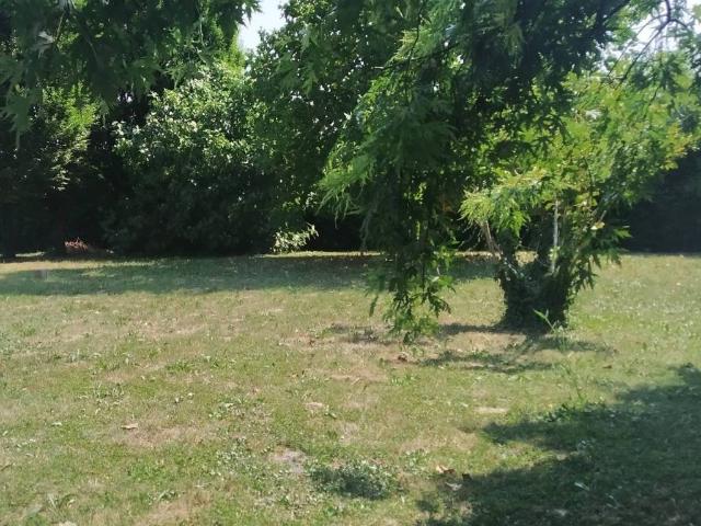 Villa Indipendente in vendita a Massanzago, Veneto