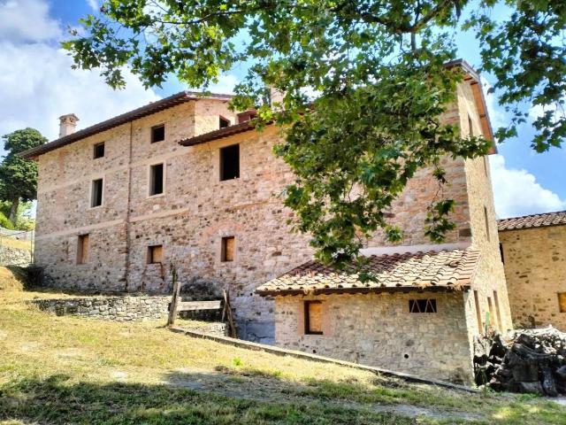 Villa Indipendente in vendita a Massarosa, Toscana