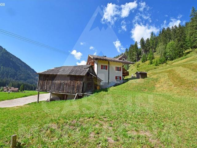 Villa Indipendente in vendita a Comun General de Fascia, Mazzin