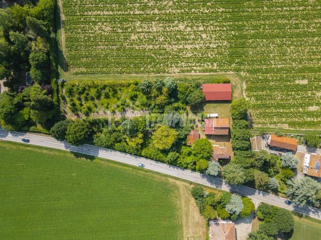 Villa Indipendente in vendita a Nuovo Circondario Imolese, Medicina
