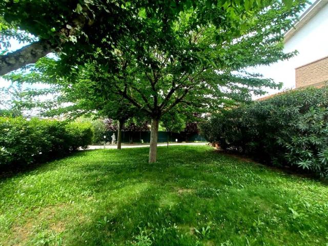 Villa Indipendente in vendita a Nuovo Circondario Imolese, Medicina
