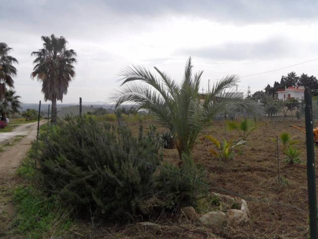 Villa Indipendente in vendita a Menfi, Sicilia
