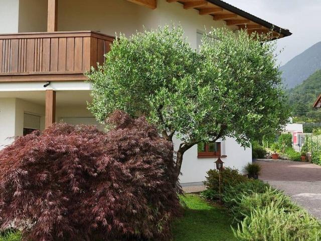 Villa Indipendente in vendita a Burggrafenamt - Burgraviato, Merano - Meran