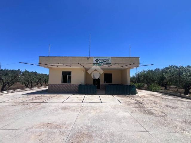 Villa Indipendente in vendita a Mesagne, Brindisi