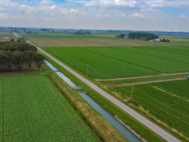 Villa Indipendente in vendita a Unione Delta del Po, Mesola