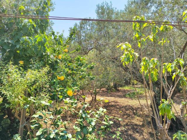 Villa Indipendente in vendita a VI Circoscrizione, Messina