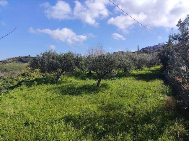 Villa Indipendente in vendita a VI Circoscrizione, Messina