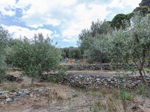 Villa Indipendente in vendita a Santa Margherita, Messina