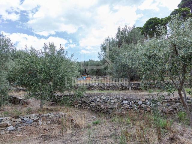 Villa Indipendente in vendita a Santa Margherita, Messina