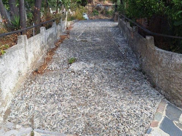 Villa Indipendente in vendita a I Circoscrizione, Messina