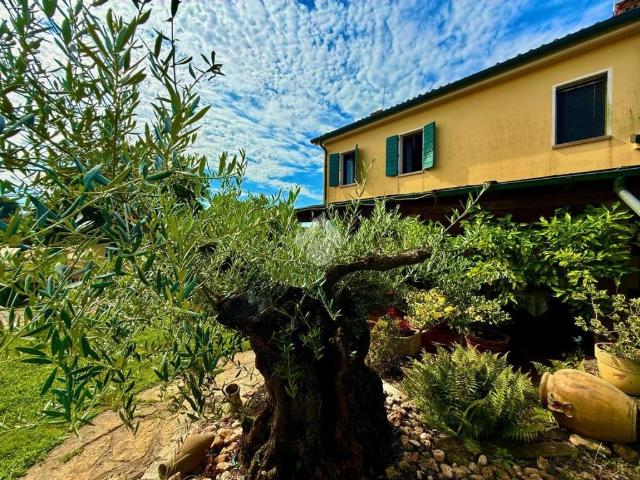 Villa Indipendente in vendita a Ca' de' Zetto, Mestrino