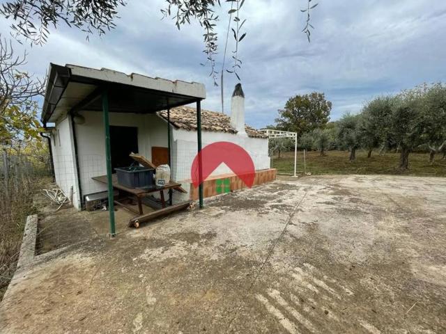 Villa Indipendente in vendita a Miglionico, Basilicata