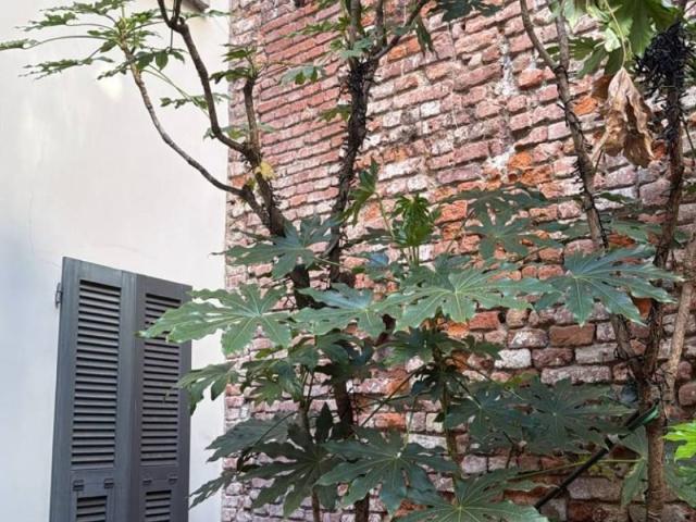 Villa Indipendente in vendita a Cerchia dei Navigli, Milano