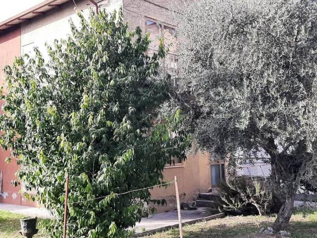 Villa Indipendente in vendita a Mira Taglio, Veneto