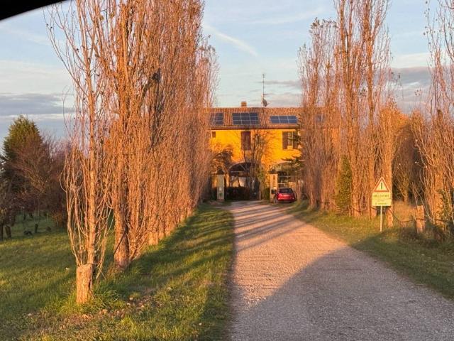 Villa Indipendente in vendita a Modena, Marzaglia Nuova