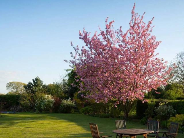 Villa Indipendente in vendita a San Faustino-Madonnina-Quattroville, Modena