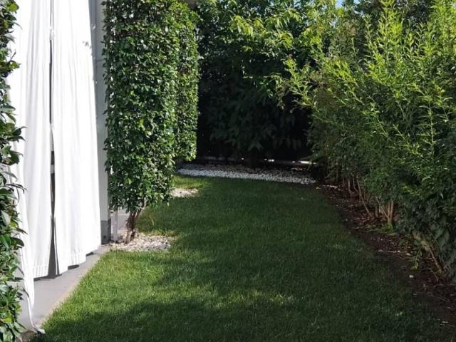 Villa Indipendente in vendita a Cittanova, Modena