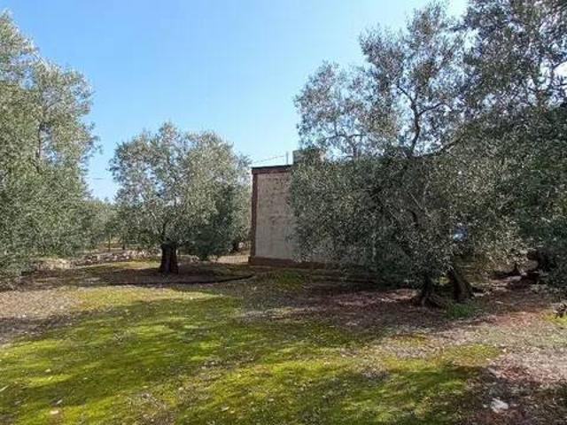 Villa Indipendente in vendita a Puglia, Bari