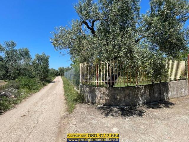 Villa Indipendente in vendita a Puglia, Bari