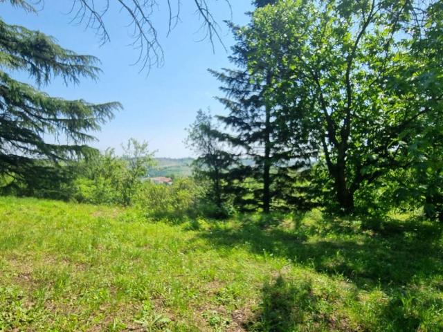 Villa Indipendente in vendita a Piemonte, Asti