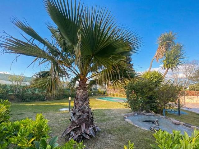 Villa Indipendente in vendita a Monastir, Sardigna/Sardegna