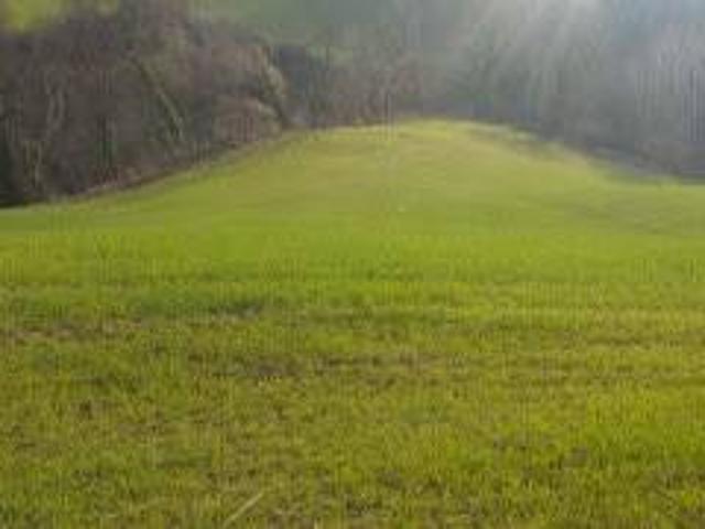 Villa Indipendente in vendita a Marche, Pesaro E Urbino