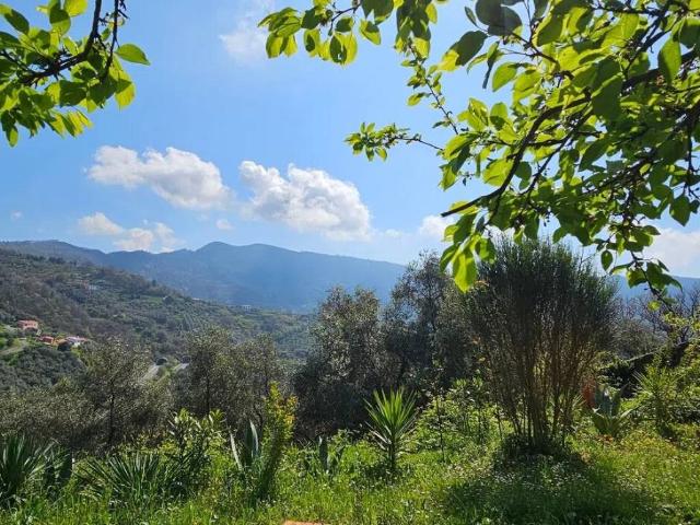Villa Indipendente in vendita a Bracco, Moneglia