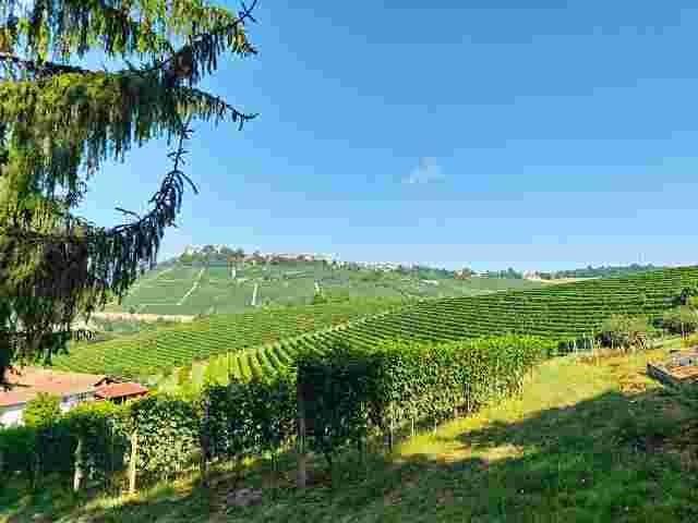 Villa Indipendente in vendita a Piemonte, Cuneo