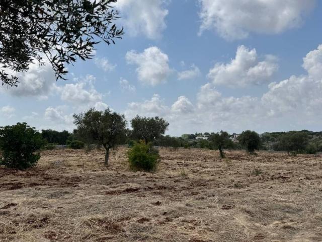 Villa Indipendente in vendita a Chiesa Nuova, Puglia