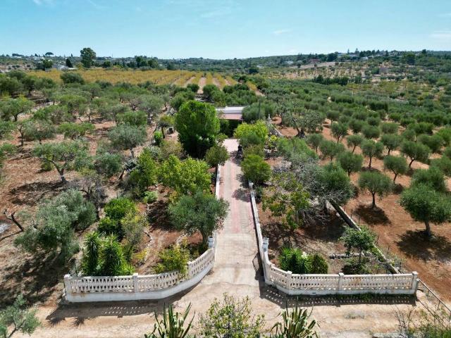 Villa Indipendente in vendita a Chiesa Nuova, Puglia