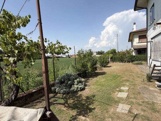 Villa Indipendente in vendita a Montagnana, Padova