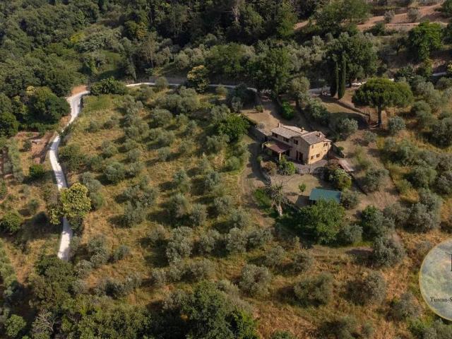 Villa Indipendente in vendita a Montalcino, Toscana