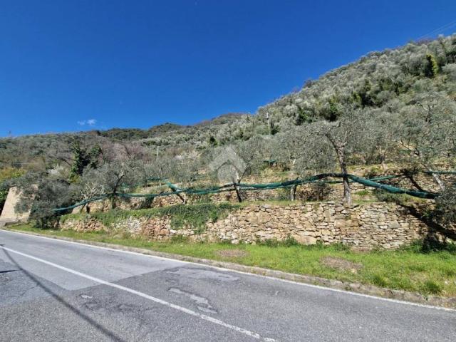 Villa Indipendente in vendita a Molini Di Triora, Liguria