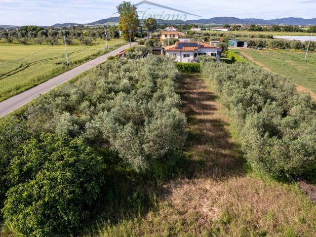 Villa Indipendente in vendita a Montalto Di Castro, Lazio