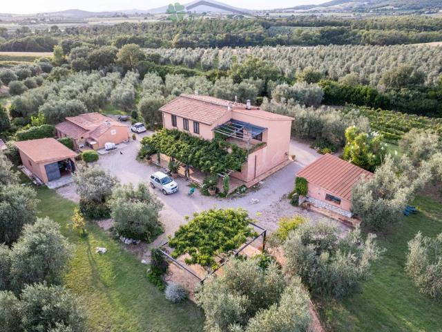 Villa Indipendente in vendita a Montalto Di Castro, Lazio