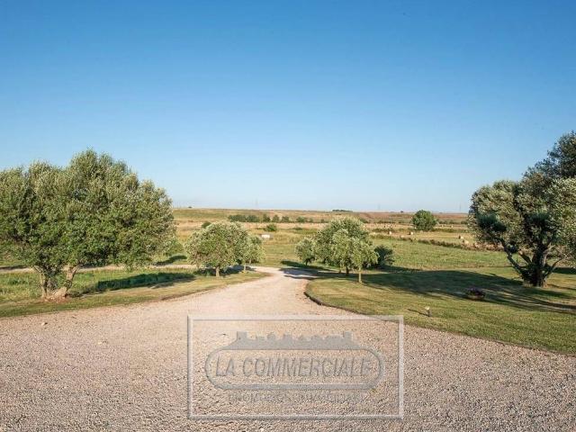 Villa Indipendente in vendita a Montalto Di Castro, Lazio