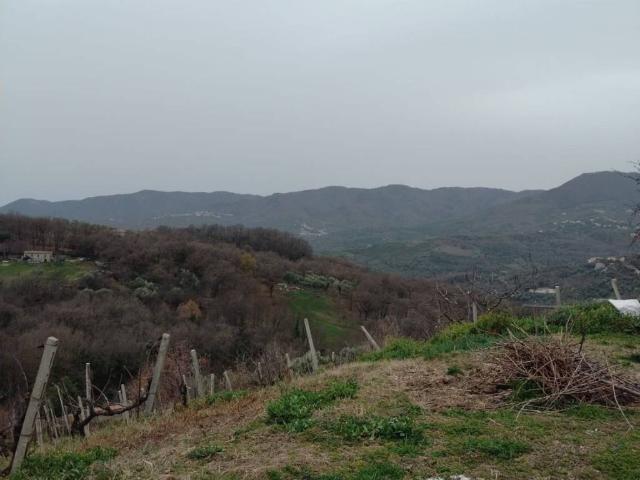 Villa Indipendente in vendita a Montano Antilia, Campania