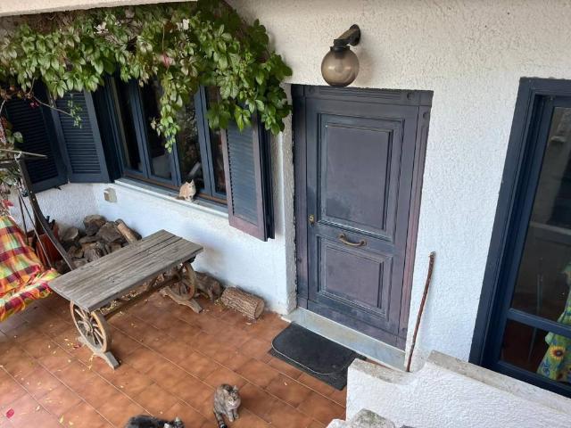 Villa Indipendente in vendita a Calabria, Catanzaro