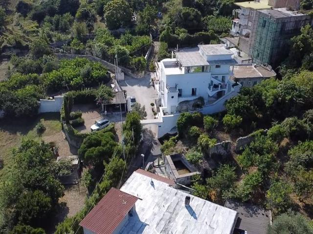 Villa Indipendente in vendita a Monte di Procida, Napoli
