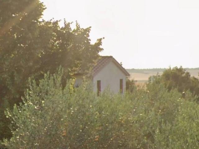 Villa Indipendente in vendita a Monte San Savino, Arezzo