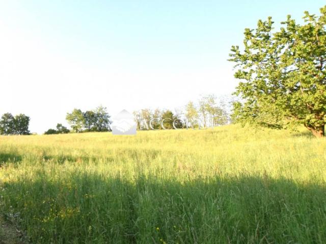 Villa Indipendente in vendita a Guarda, Montebelluna