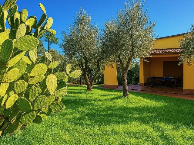 Villa Indipendente in vendita a San Salvatore, Montecarlo
